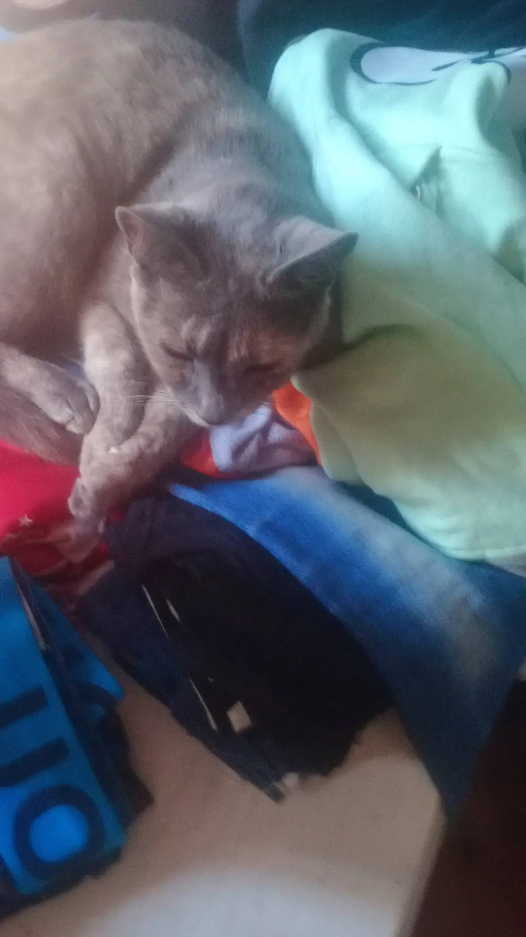 ai character: dw hates pick me background