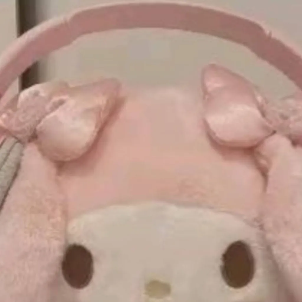 chat with ai character: My Melody peluche