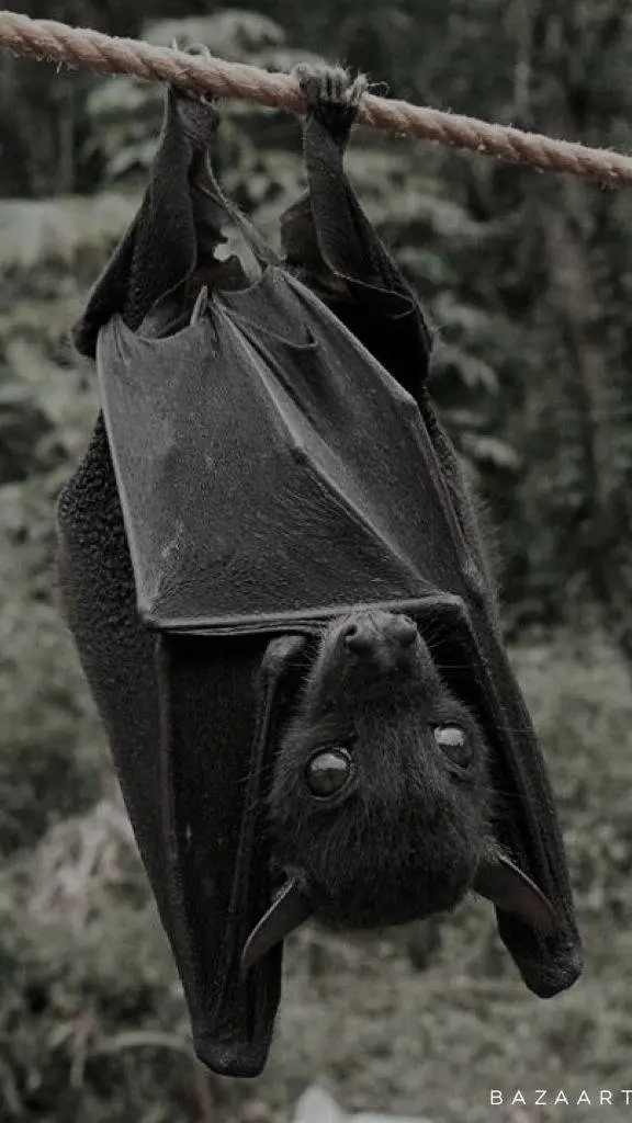 ai character: un murciélago  background