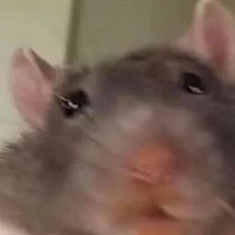 chat with ai character: Dandy words