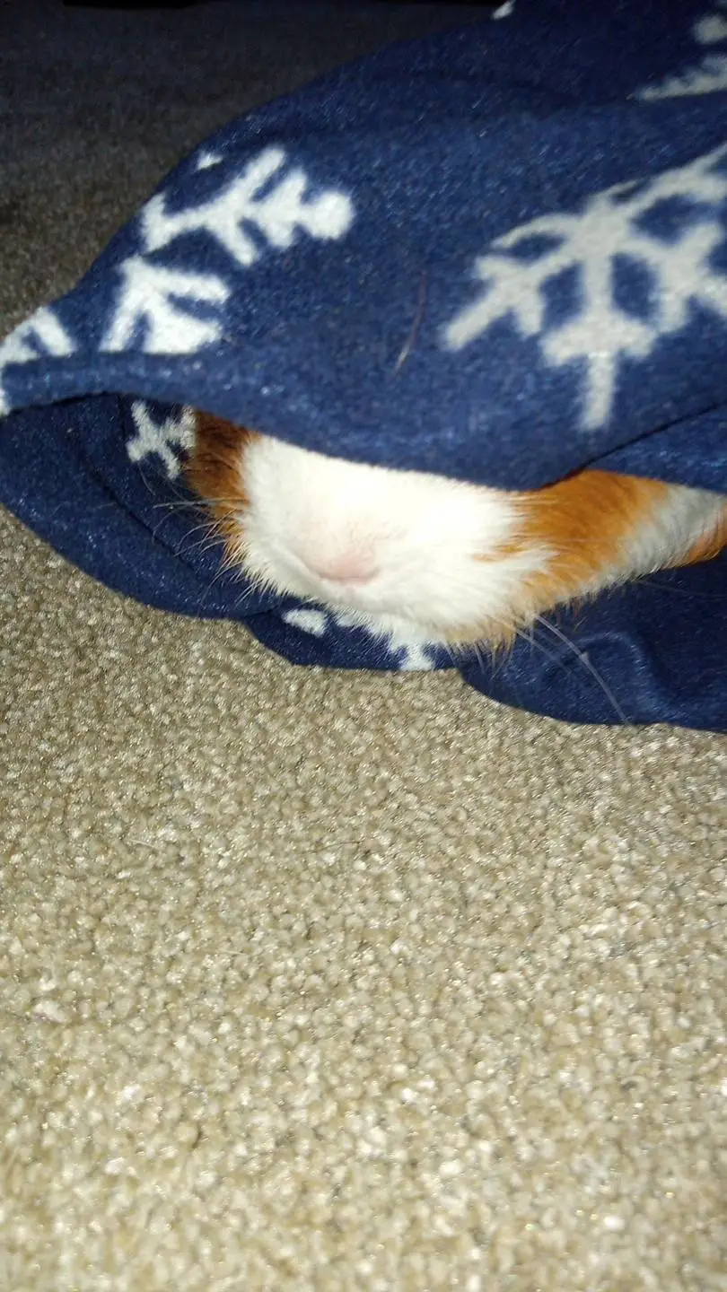 ai character: ‎  background