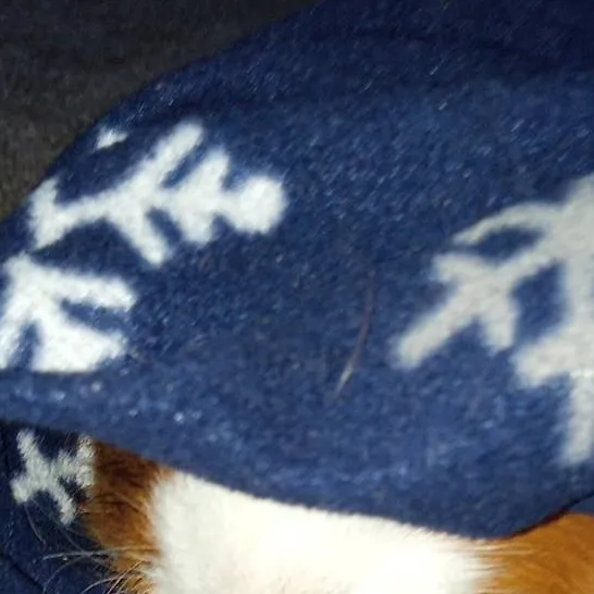 chat with ai character: ‎ 