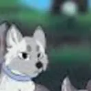 chat with ai character: Ashen/Snowy Wolf