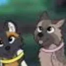chat with ai character: Spotted/Chestnut