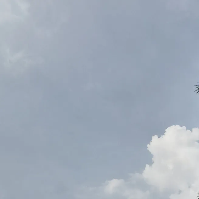 chat with ai character: Theme Park