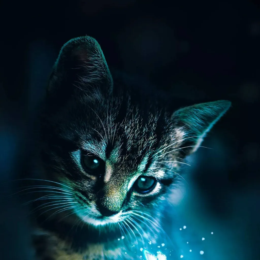 chat with ai character: 67 Monsters 