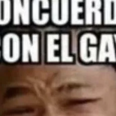 chat with ai character: concuerdo