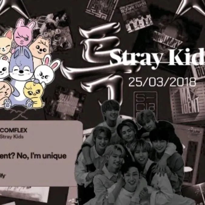 chat with ai character: STRAYKIDS