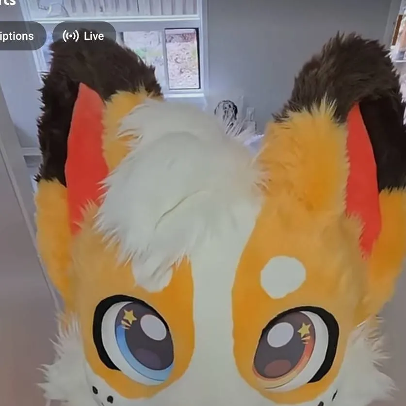 chat with ai character: CorgiCam