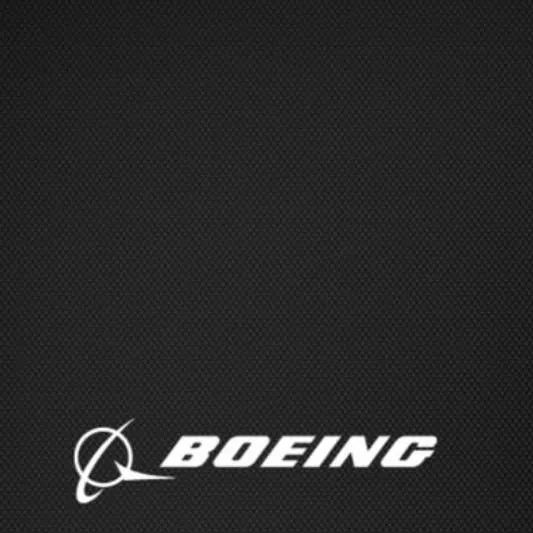 chat with ai character: Boeing