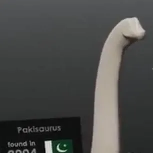 chat with ai character:  Pakisaurus 