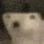 chat with ai character: Polar bear 2026