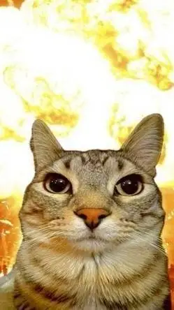 ai character: ★BFB-coughcough★ background