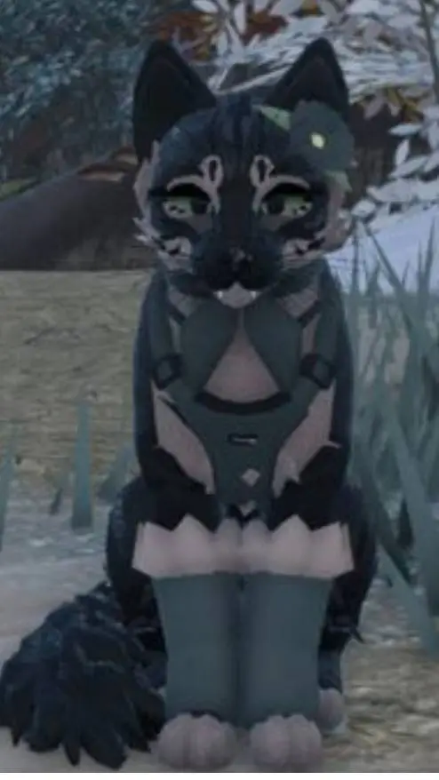 ai character: - Kittypet Life - background