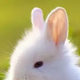 chat with ai character: HxH