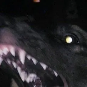 chat with ai character: Rabid dog