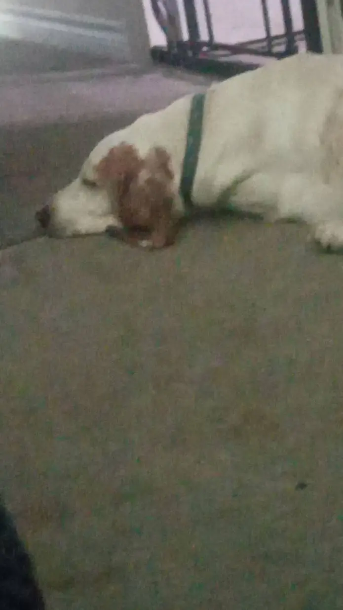 ai character: Oliver  background