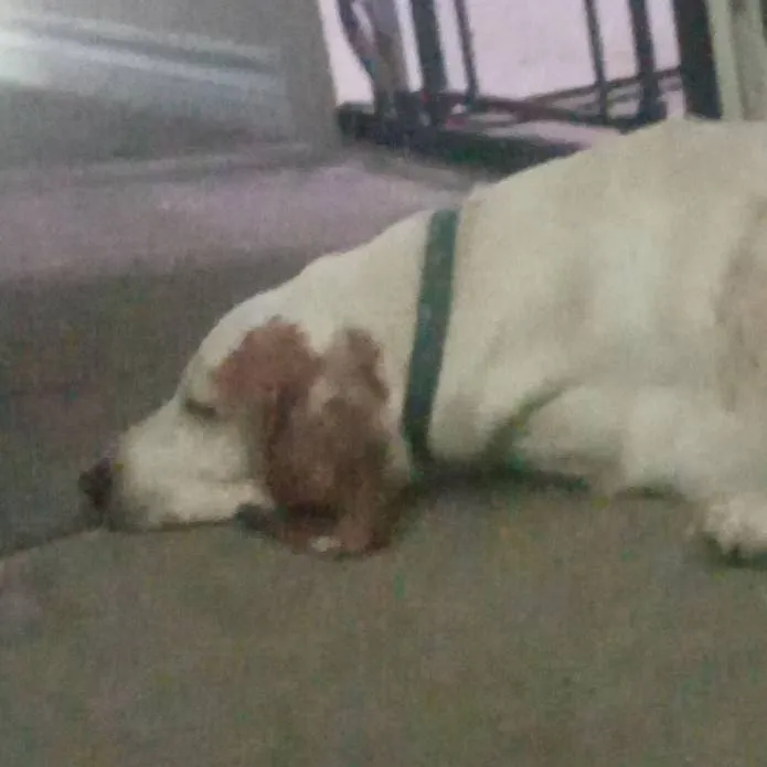 chat with ai character: Oliver 