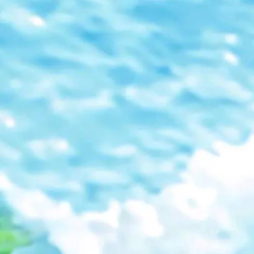 chat with ai character: ZORO RONONOA 