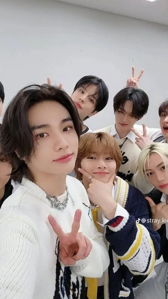 ai character: stray kids  background