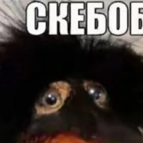chat with ai character: скебоб
