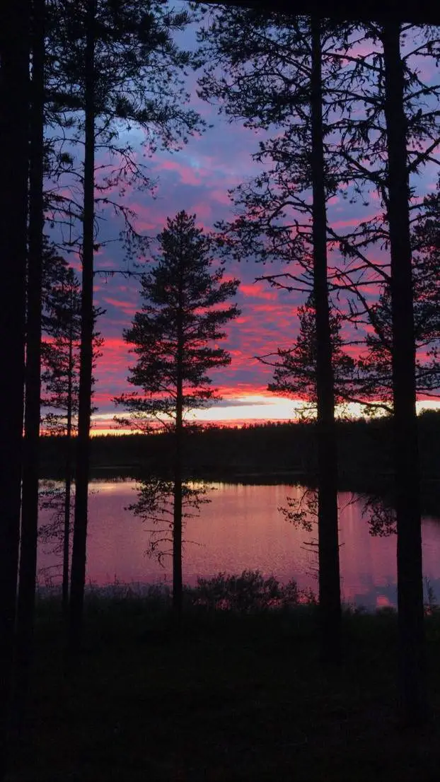 ai character: mm2 background