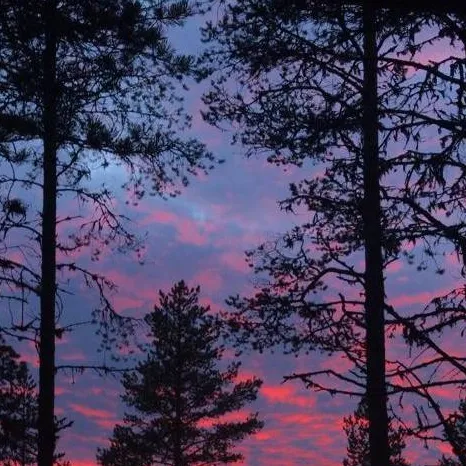 chat with ai character: mm2