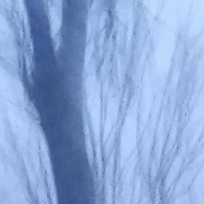 chat with ai character: sad story :(