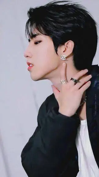 ai character: ❤️𝑯𝒂𝒏 𝑱𝒊𝒔𝒖𝒏𝒈💚 background