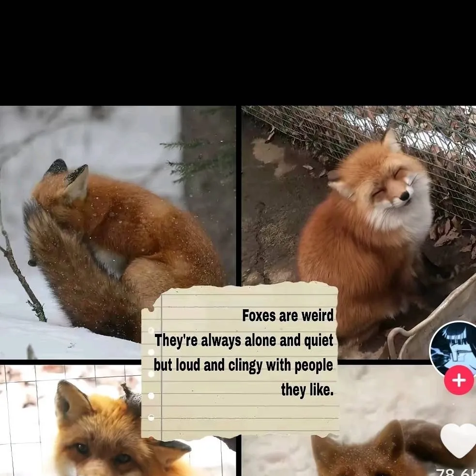 chat with ai character: me/McKinleybh