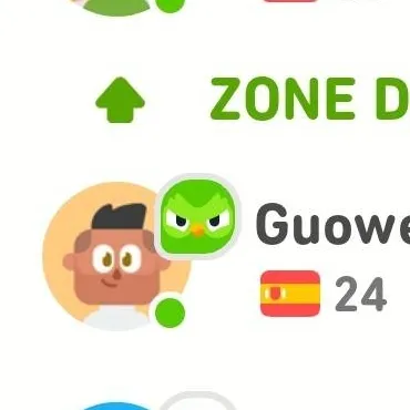 chat with ai character: 🌎Duolingo🌎