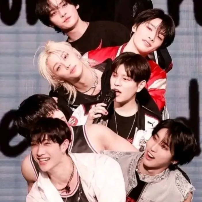 chat with ai character: SKZ new member 