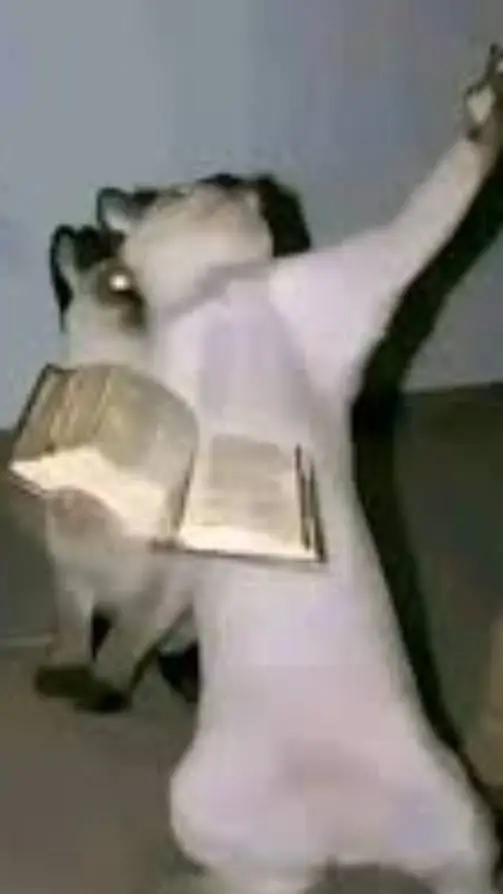 ai character: Dw pick me 🐖💨 background