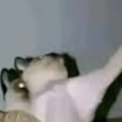 chat with ai character: Dw pick me 🐖💨