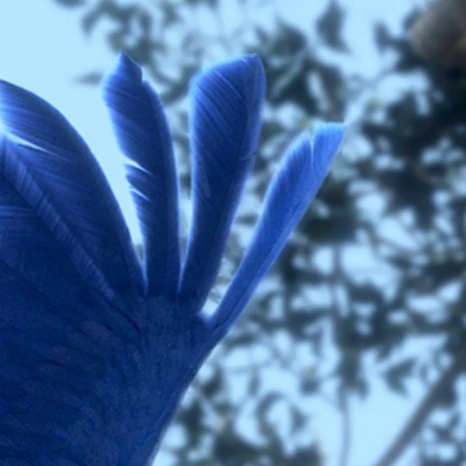 chat with ai character: Blu