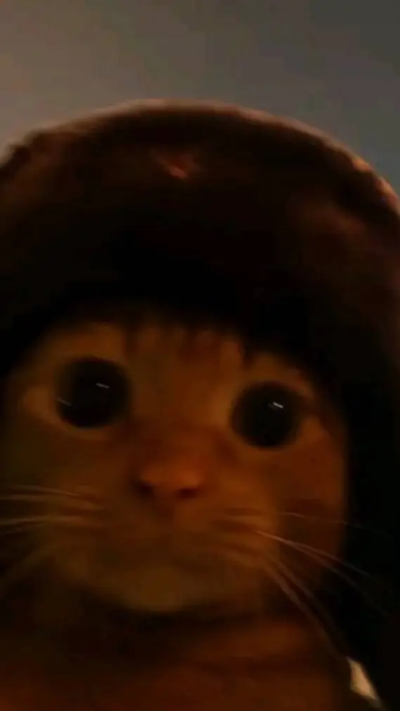 ai character: gato background