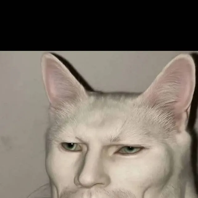 chat with ai character: my sigma kitty