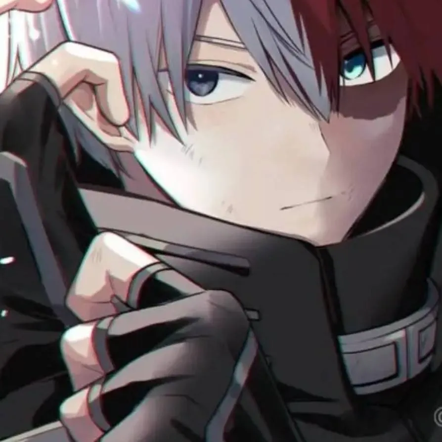 chat with ai character: ❤️Todoroki🤍