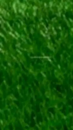 ai character: grass background