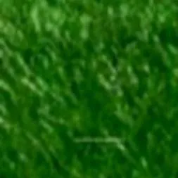 chat with ai character: grass