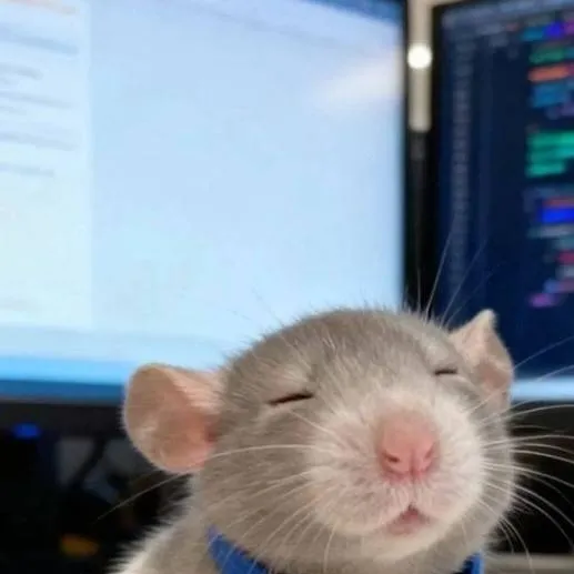 chat with ai character: Ratatouille