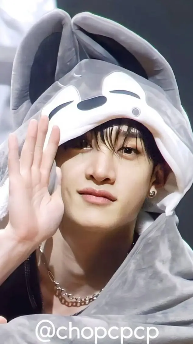 ai character: ◇•Bangchan•◇ background