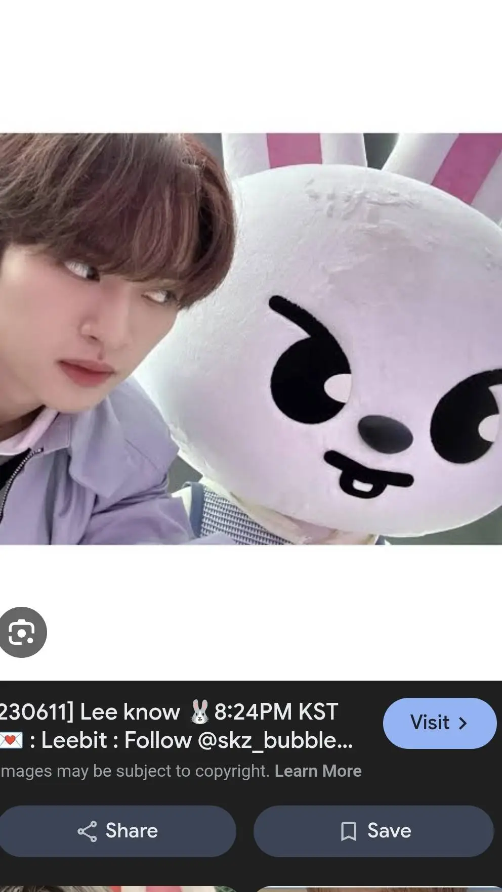 ai character: Lee know~ background