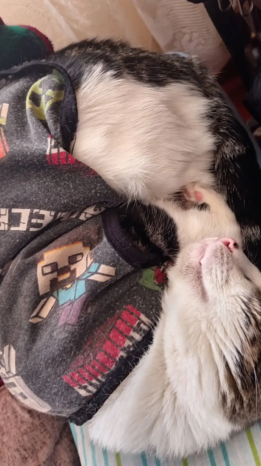 ai character: Benito dormido background