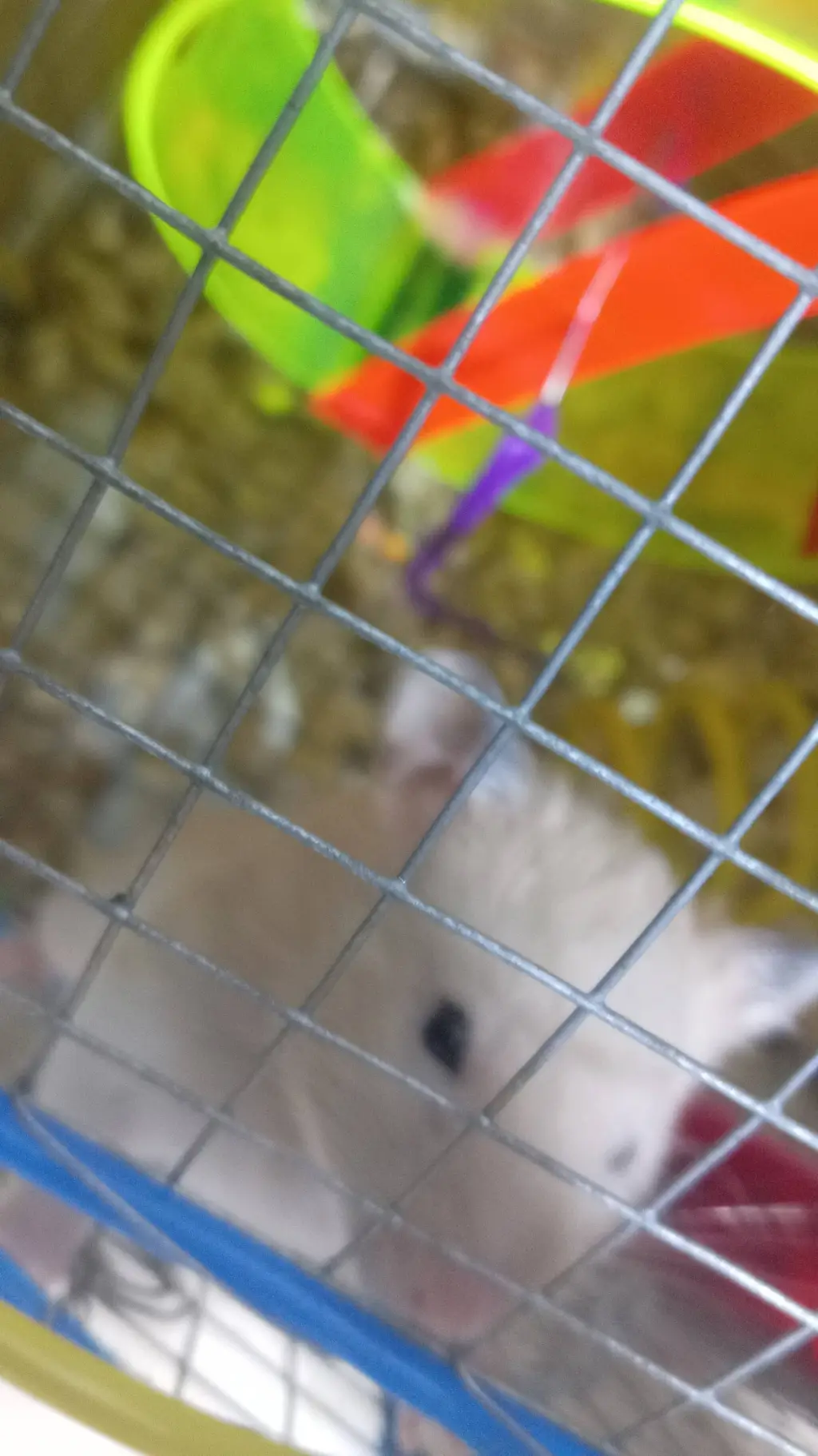 ai character: Hamster background