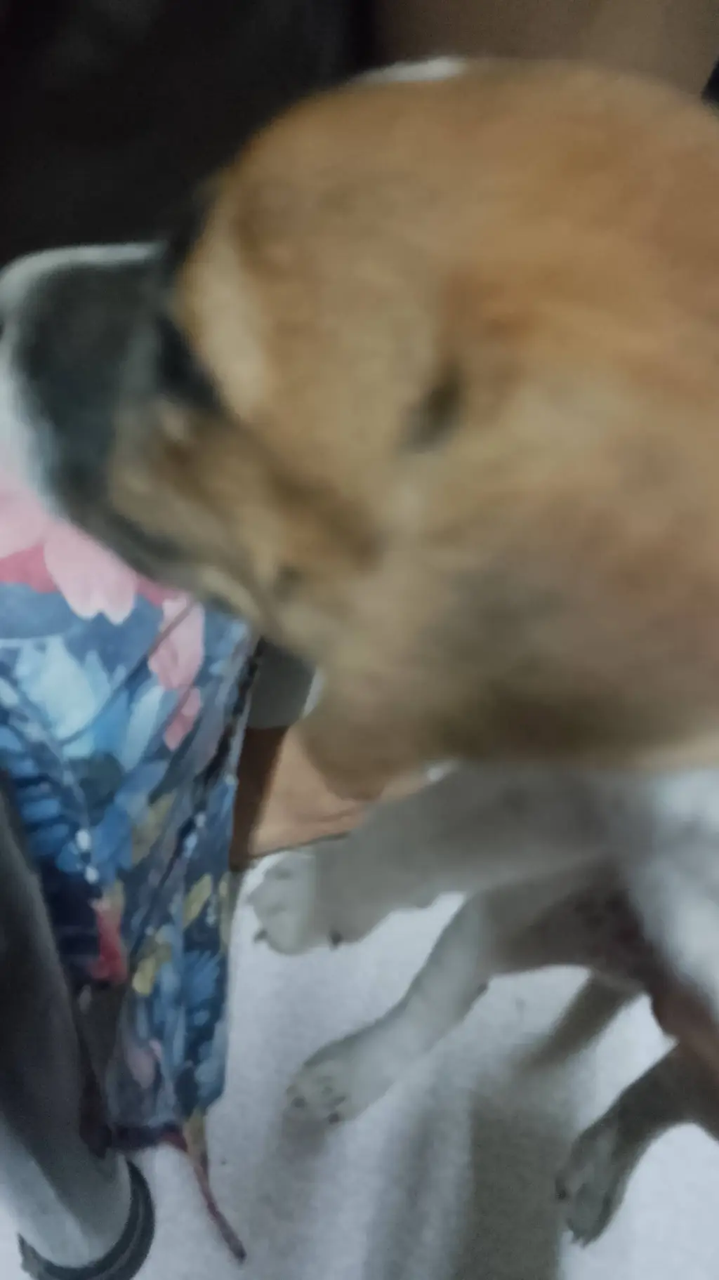 ai character: your puppy background