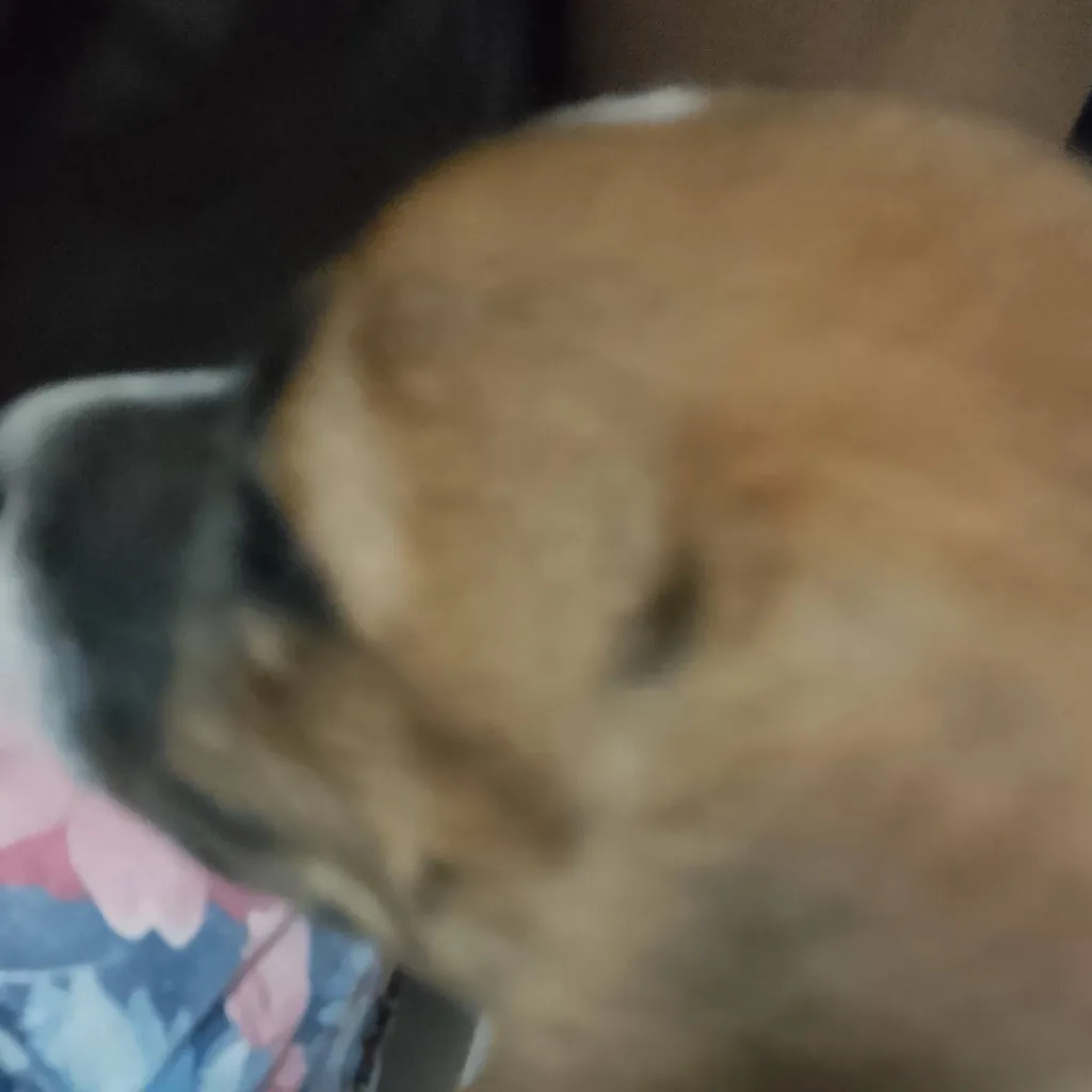chat with ai character: your puppy
