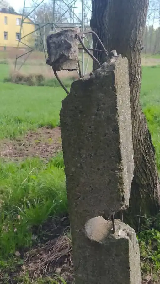 ai character: whispering pines  background