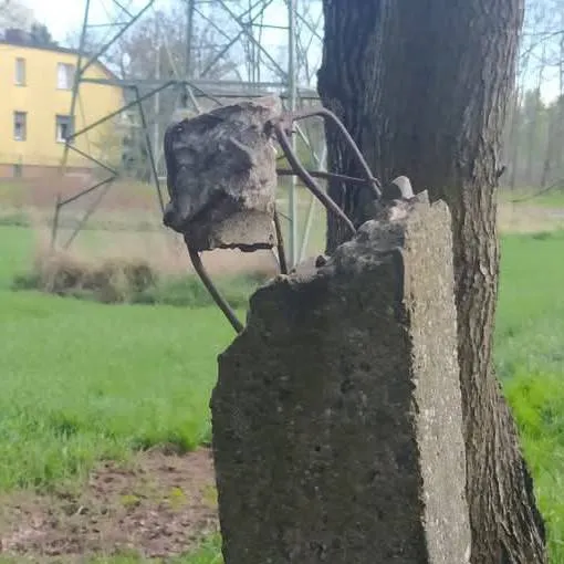 chat with ai character: whispering pines 