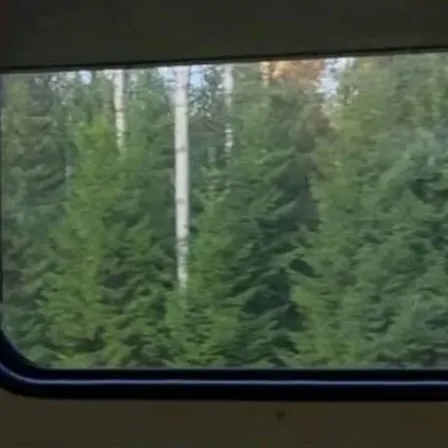 chat with ai character: dw camper 